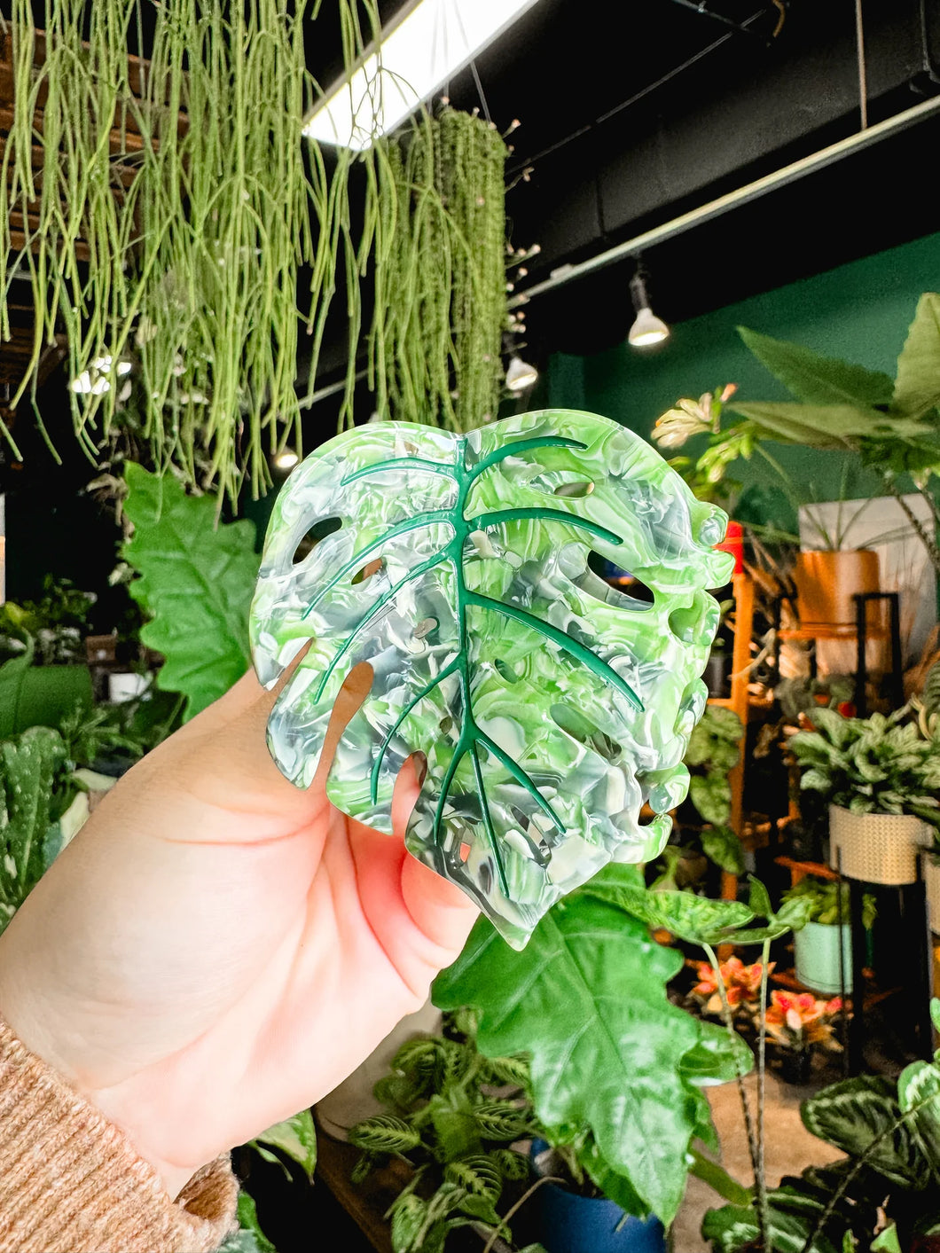 Coopmonsters Variegated Monstera Hair Claw