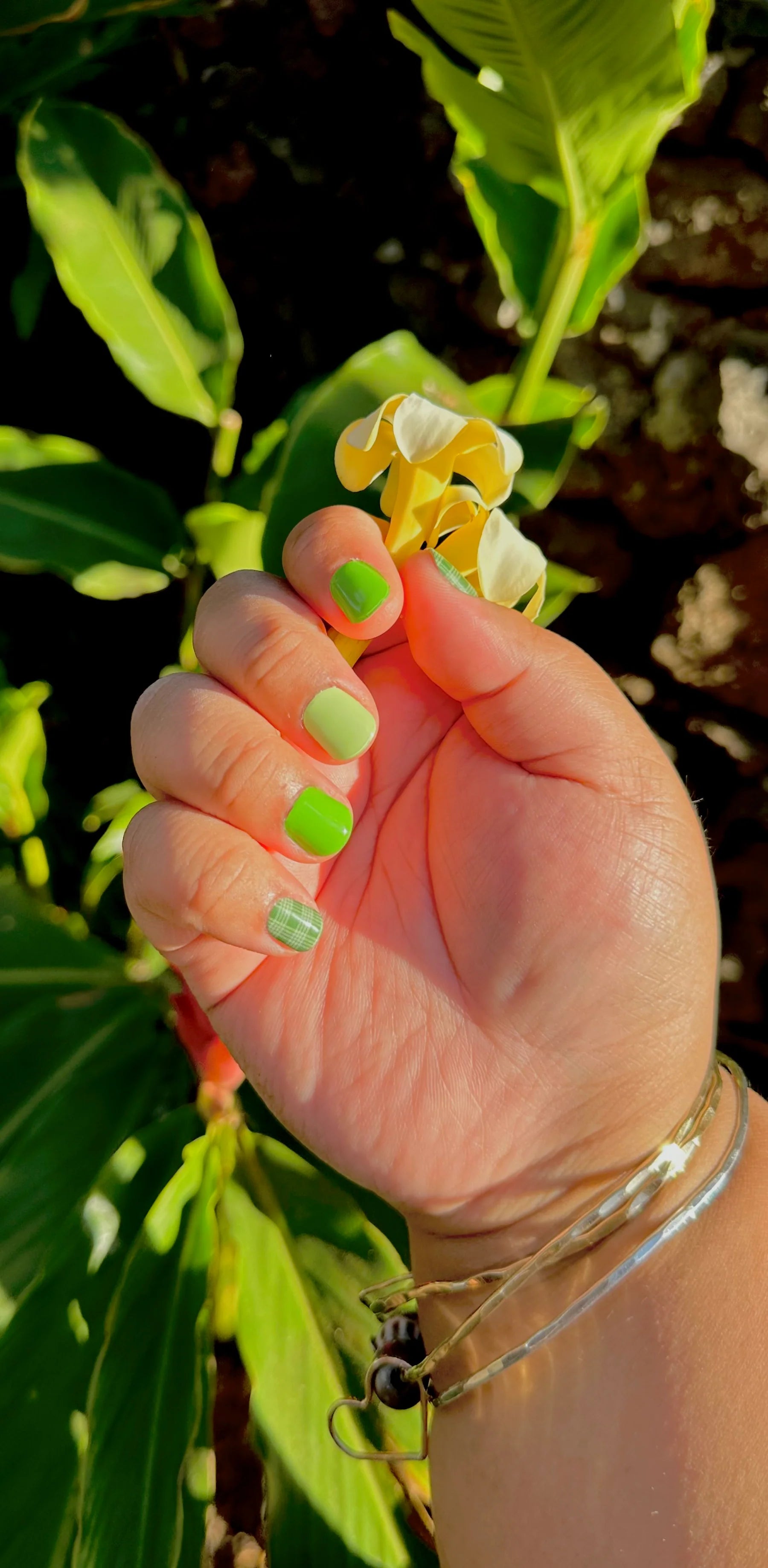 Iwi Nails Palaka: Nahele
