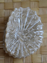 Load image into Gallery viewer, Revel Sun Hawaii &#39;Opihi Shell Shaped Claw Clip
