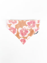 Load image into Gallery viewer, &quot;Island Tails&quot; Gift Set
