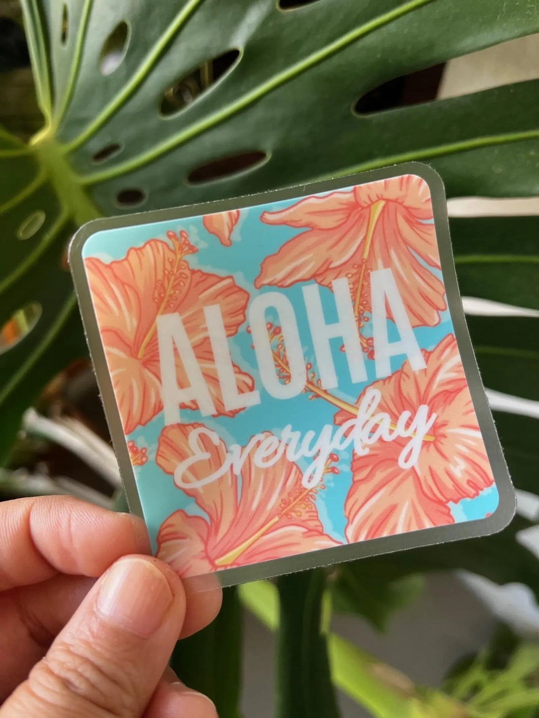 Island Stickers & More Aloha Everyday Clear Sticker
