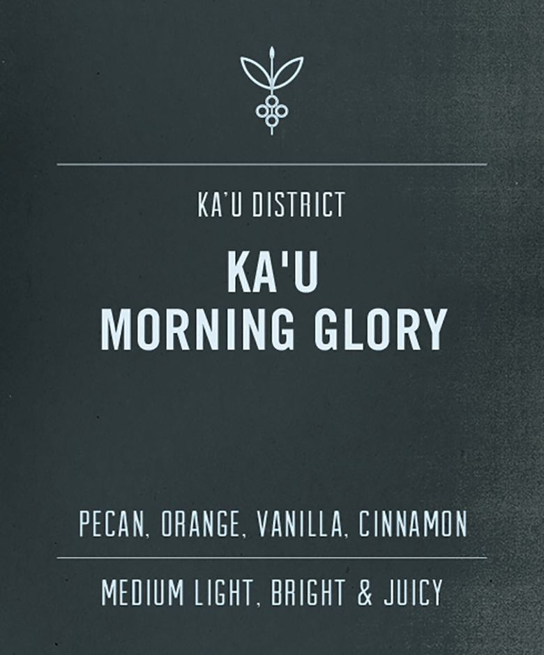 Big Island Coffee Roaster's Ka'u Morning Glory 4oz. Medium Light Roast-Whole Bean